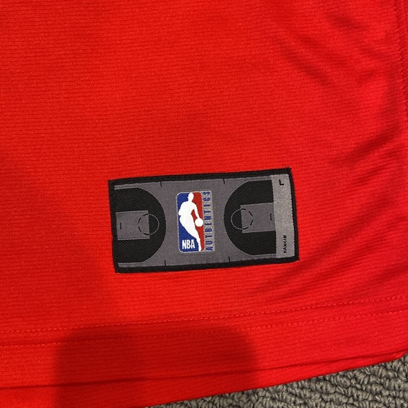 Leonard 2 Raptors - Picture 2 of 8